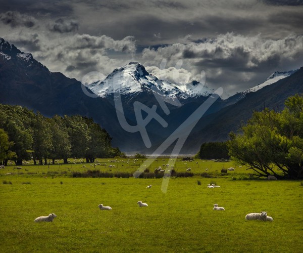 NEW ZEALAND Makarora